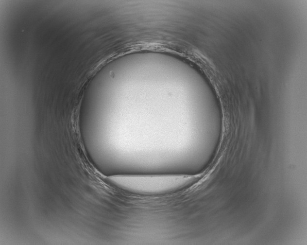 X0000073901353200608110925