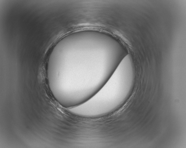 X0000073901357200608110925