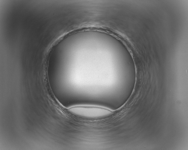 X0000073901359200608110925