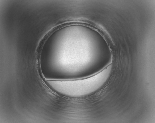 X0000073901360200608110925