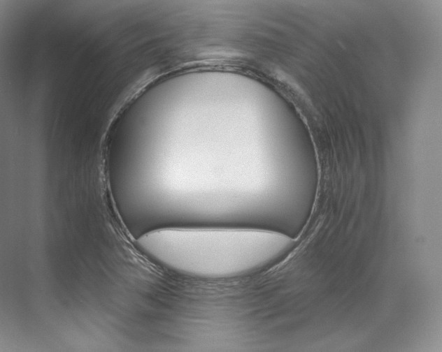 X0000073901362200608110925