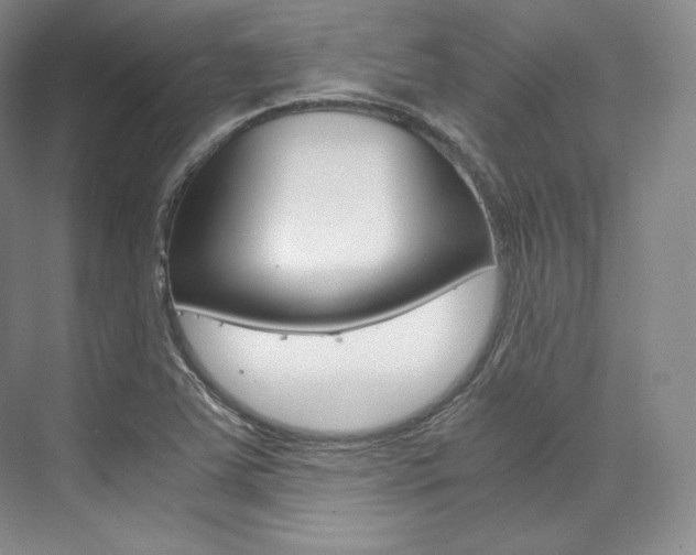 X0000073901363200608110925