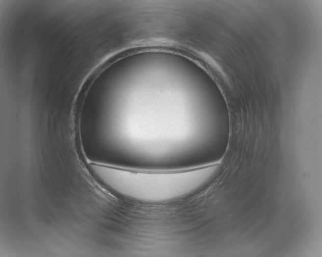 X0000073901364200608110925