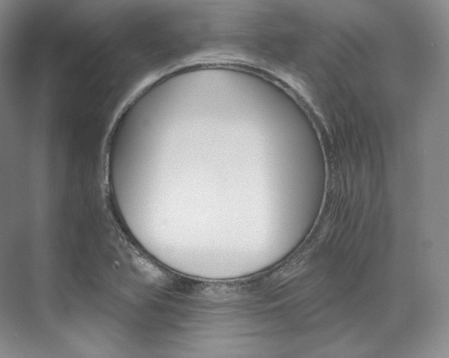 X0000073901366200608110925
