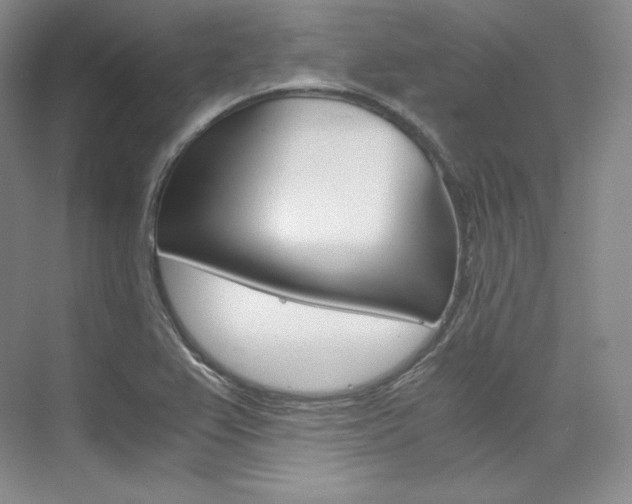 X0000073901367200608110924