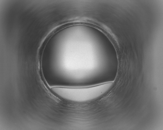 X0000073901368200608110924