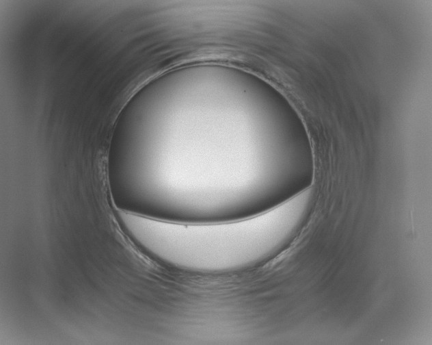 X0000073901369200608110924