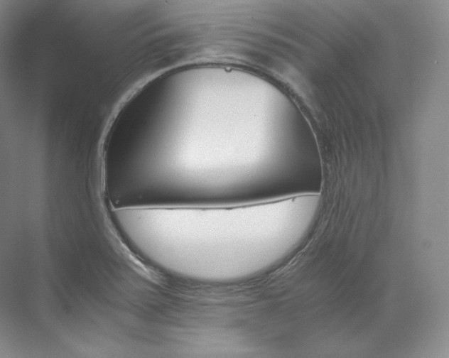 X0000073901371200608110924