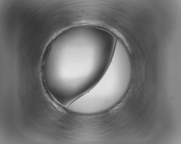 X0000073901373200608110924