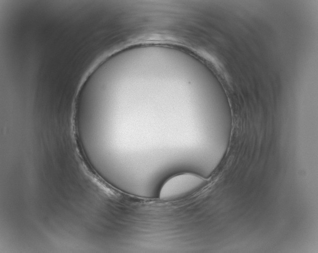 X0000073901374200608110924