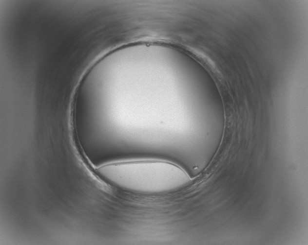 X0000073901375200608110924