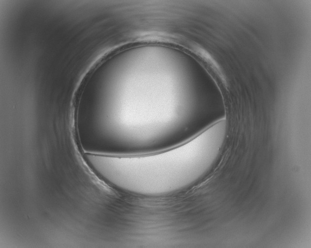 X0000073901376200608110924