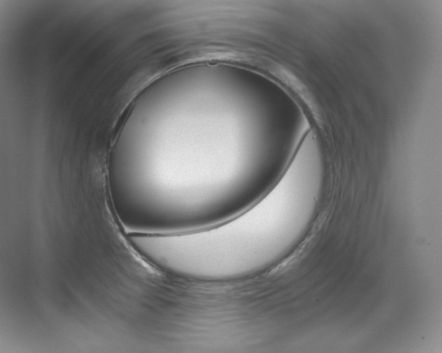 X0000073901377200608110924