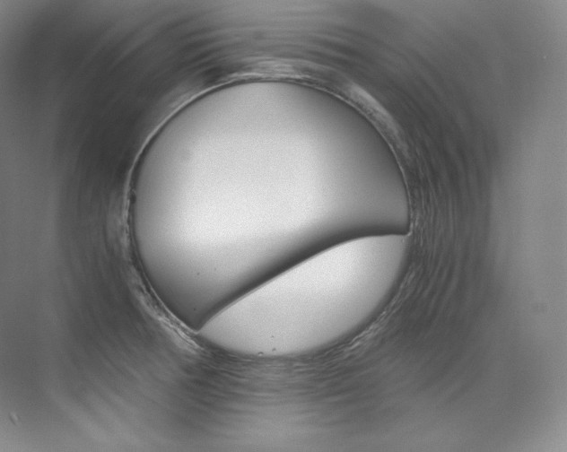 X0000073901378200608110924