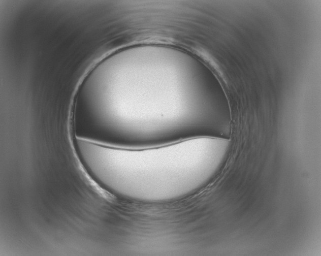 X0000073901379200608110924
