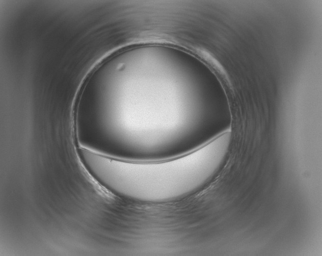 X0000073901380200608110924