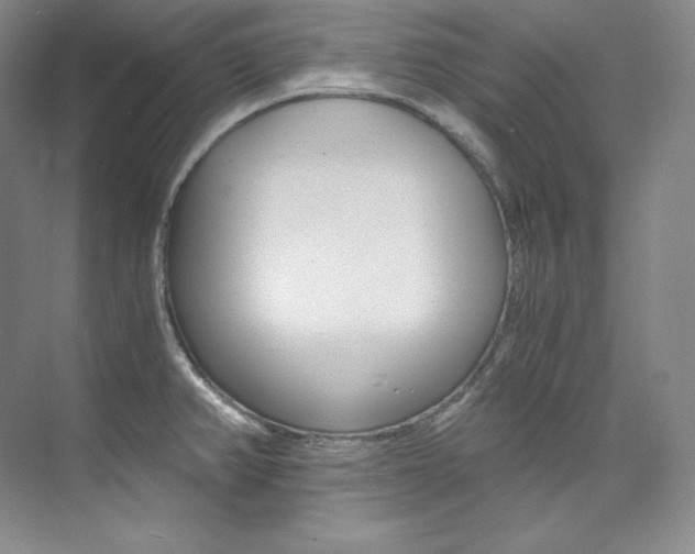 X0000073901382200608110924