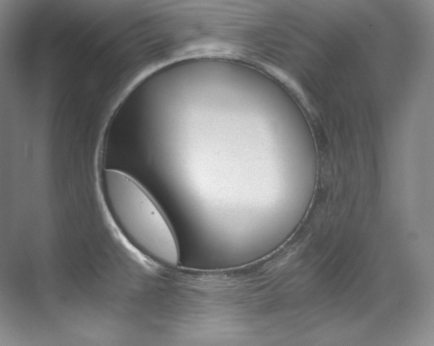 X0000073901383200608110924
