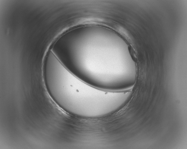 X0000073901384200608110924