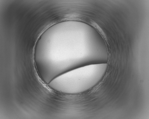 X0000073901386200608110924