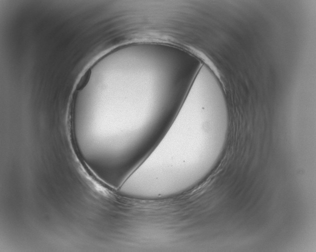 X0000073901387200608110924