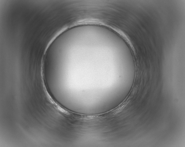 X0000073901390200608110924