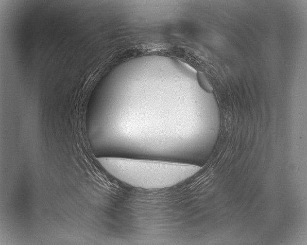 X0000073901393200608110923