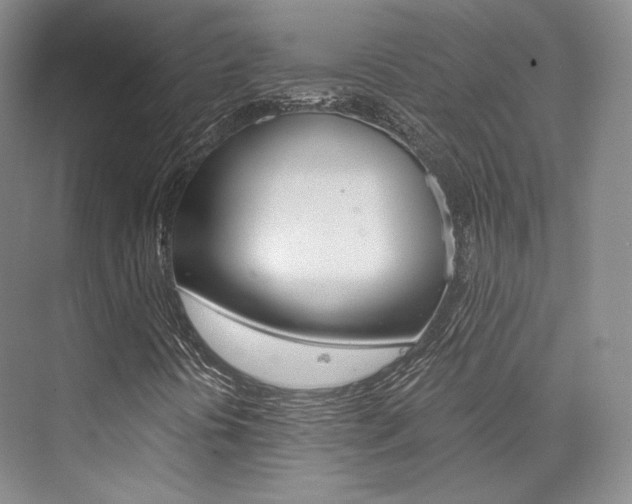 X0000073901394200608110923