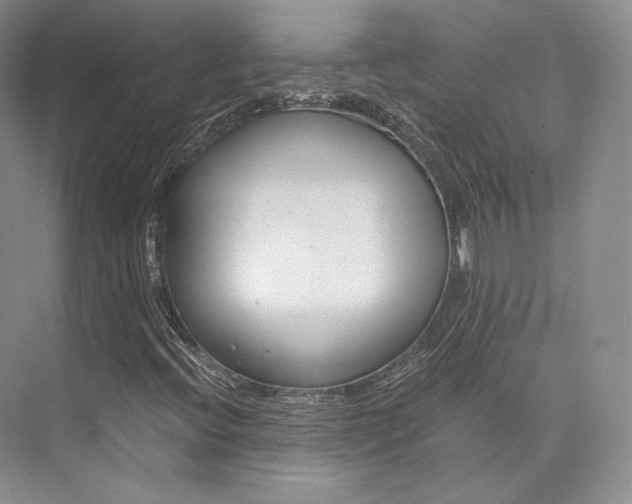 X0000073901396200608110923