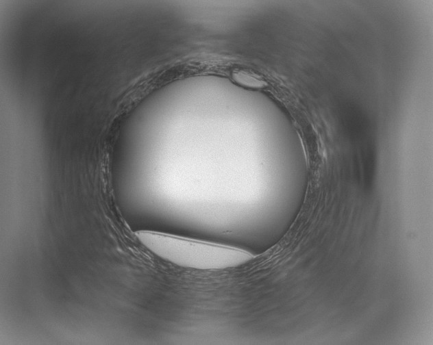 X0000073901397200608110923