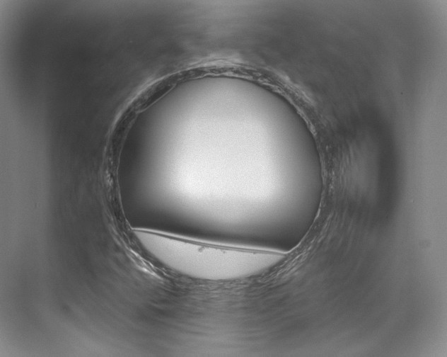 X0000073901400200608110923