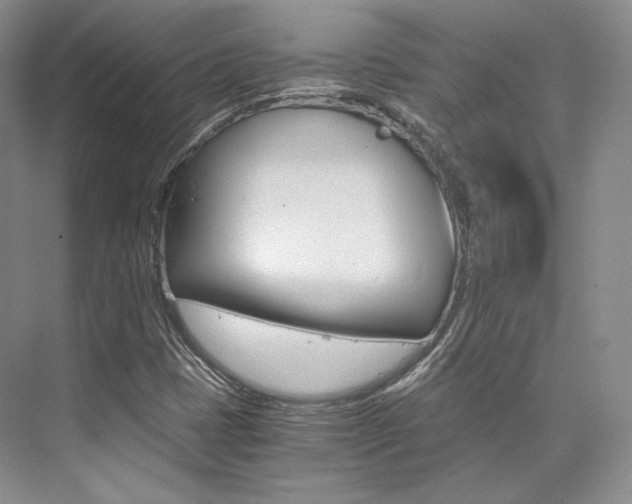 X0000073901401200608110923