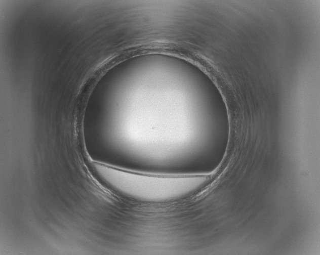 X0000073901402200608110923