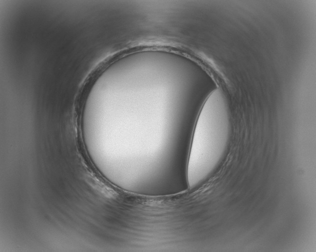 X0000073901408200608110924