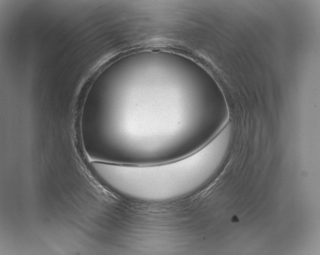 X0000073901410200608110924
