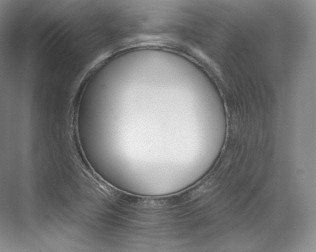 X0000073901411200608110924