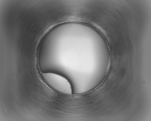 X0000073901415200608110924