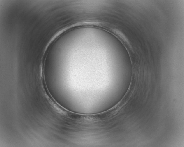 X0000073901420200608110924