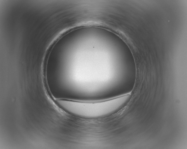X0000073901422200608110924