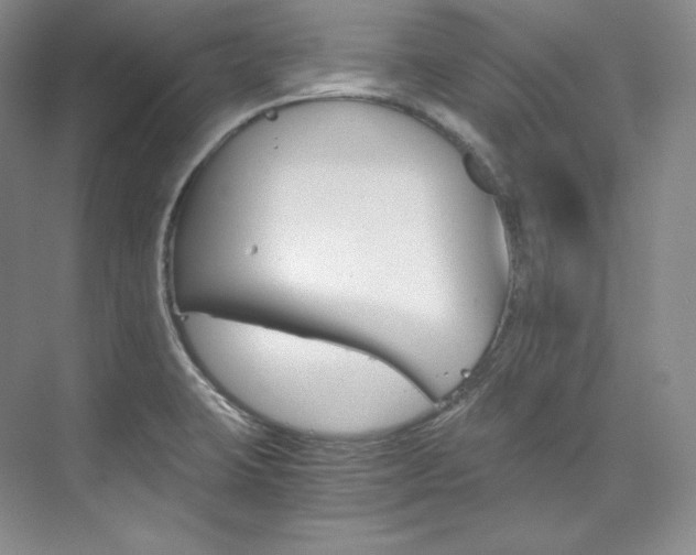 X0000073901423200608110924