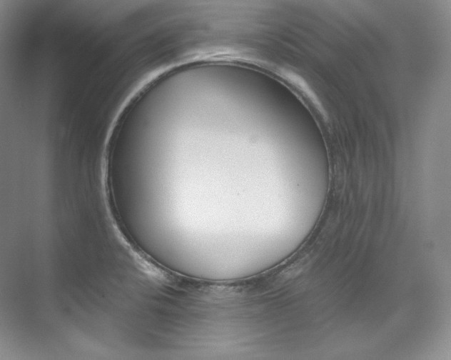 X0000073901424200608110924