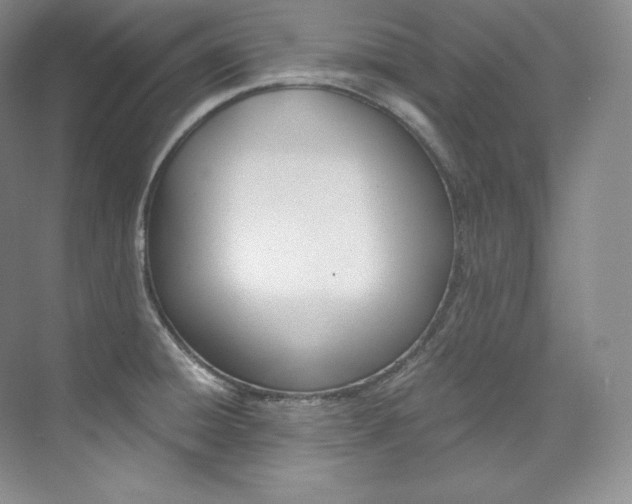 X0000073901428200608110924