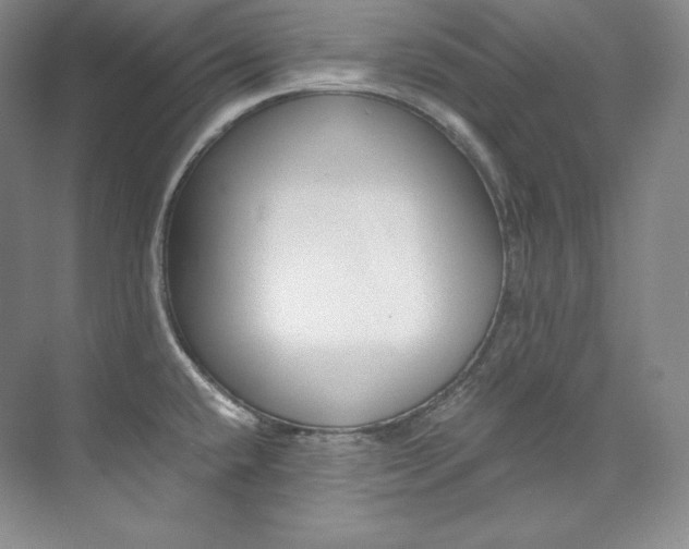 X0000073901432200608110924