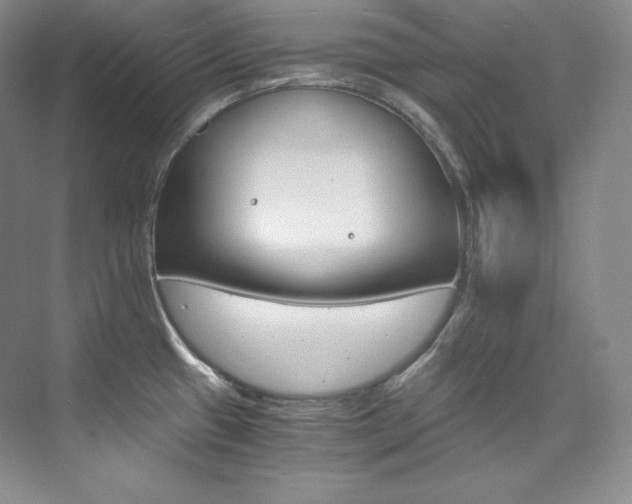 X0000073901433200608110924