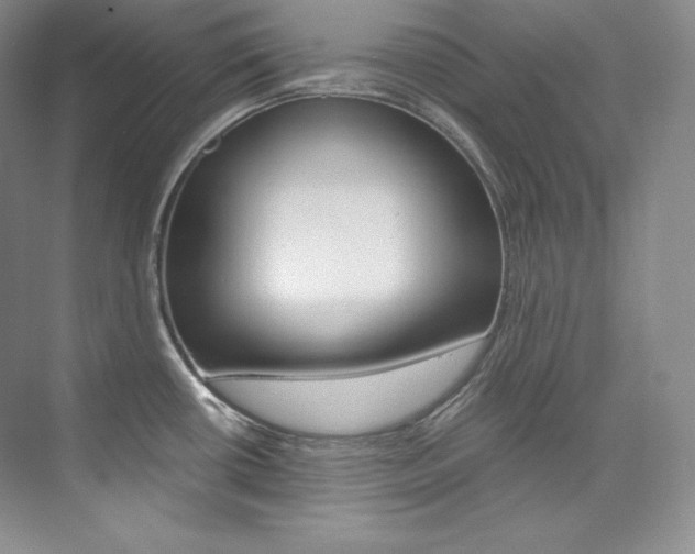 X0000073901434200608110924