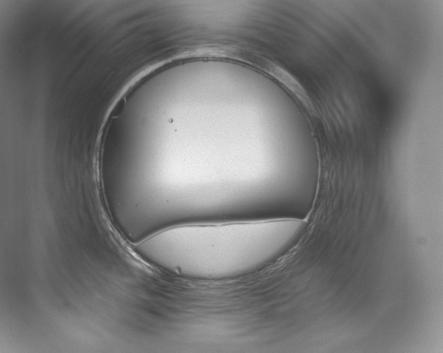 X0000073901436200608110924