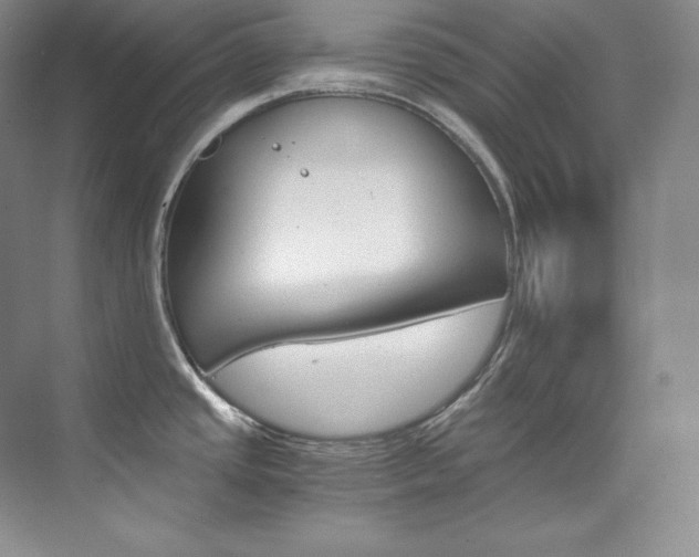 X0000073901437200608110924