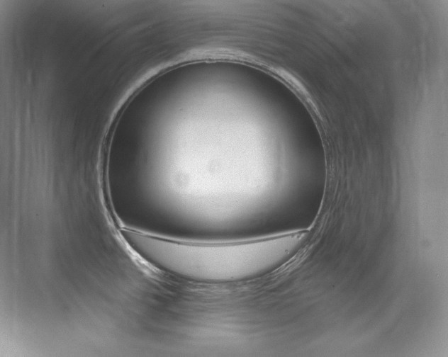 X0000073901438200608110924