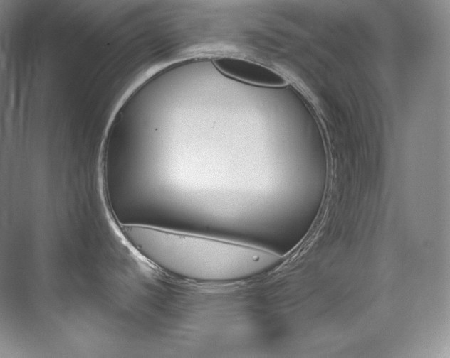 X0000073901440200608110924
