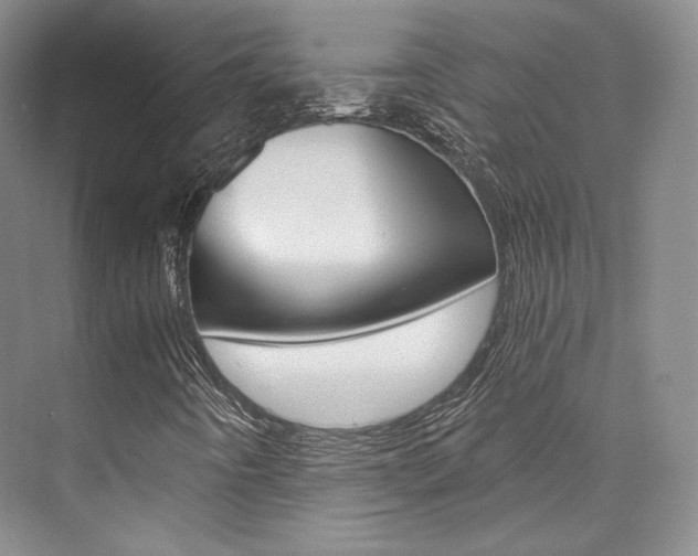 X0000073901442200608110923
